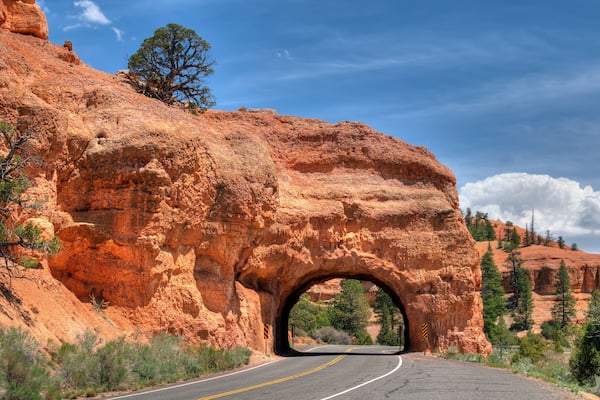 Una strada che si snoda attraverso una formazione rocciosa naturale ad arco, con alberi e cielo sereno.