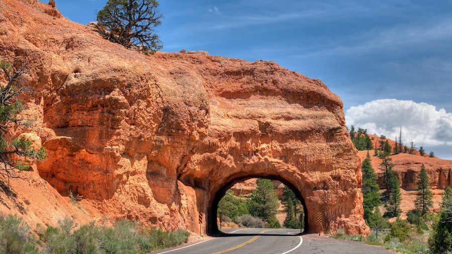 Red Canyon