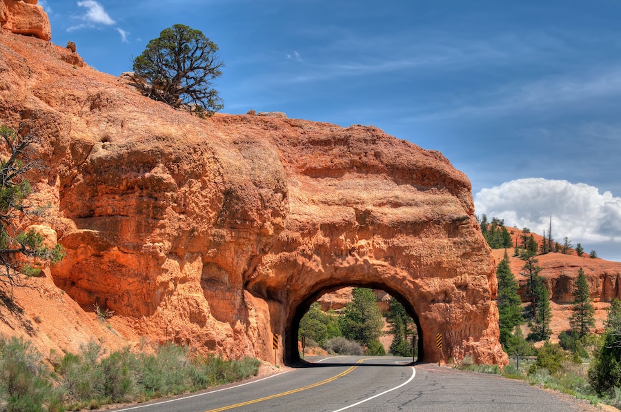 A road passing through a natural rock arch formation with trees and a clear sky.