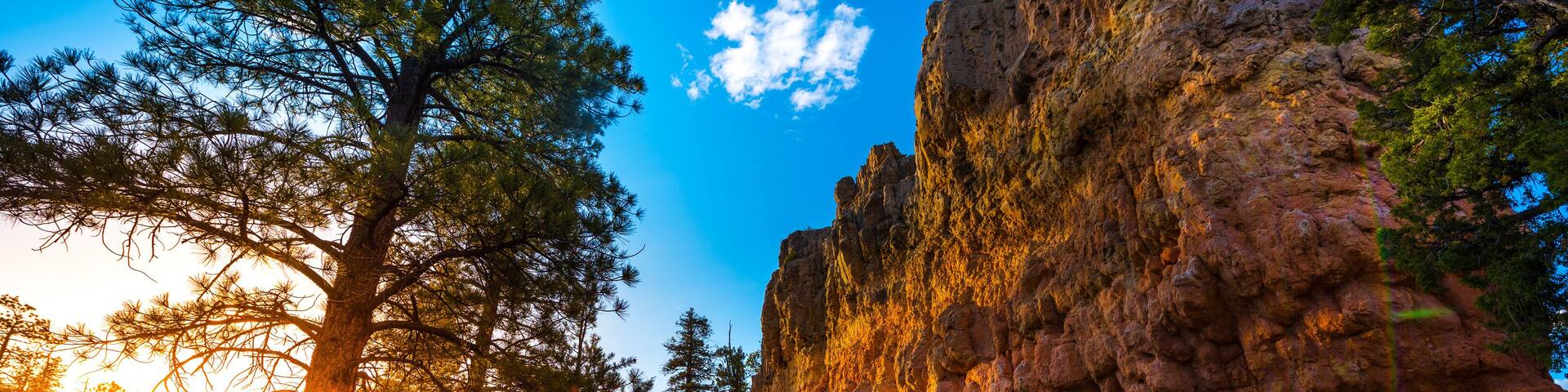 Red Canyon near Bryce at Sunset