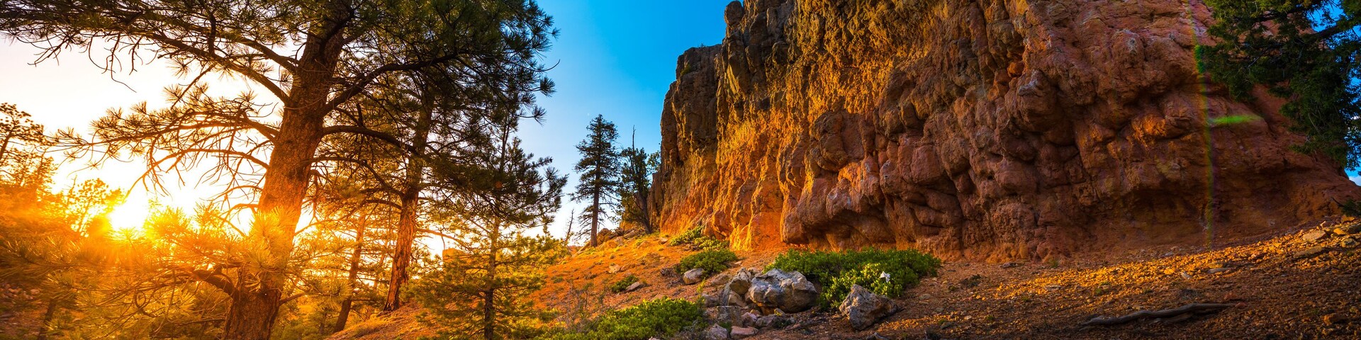 Red Canyon near Bryce at Sunset
