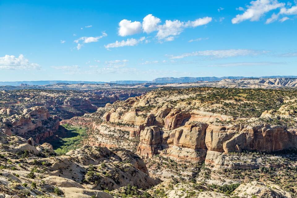Un paysage de canyon caractérisé par des formations rocheuses en strates et une végétation clairsemée.
