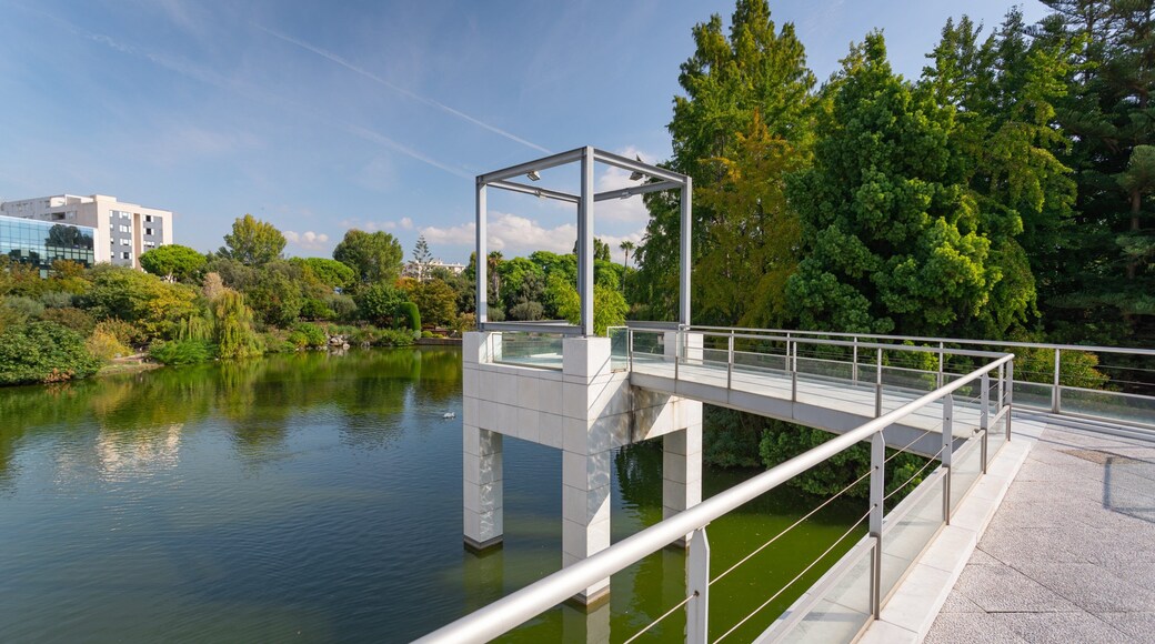 Asian Art Museum which includes a river or creek