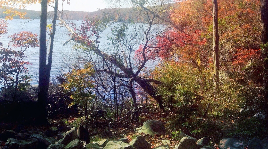 we truly enjoyed hiking in Autumn! #TakeAHike