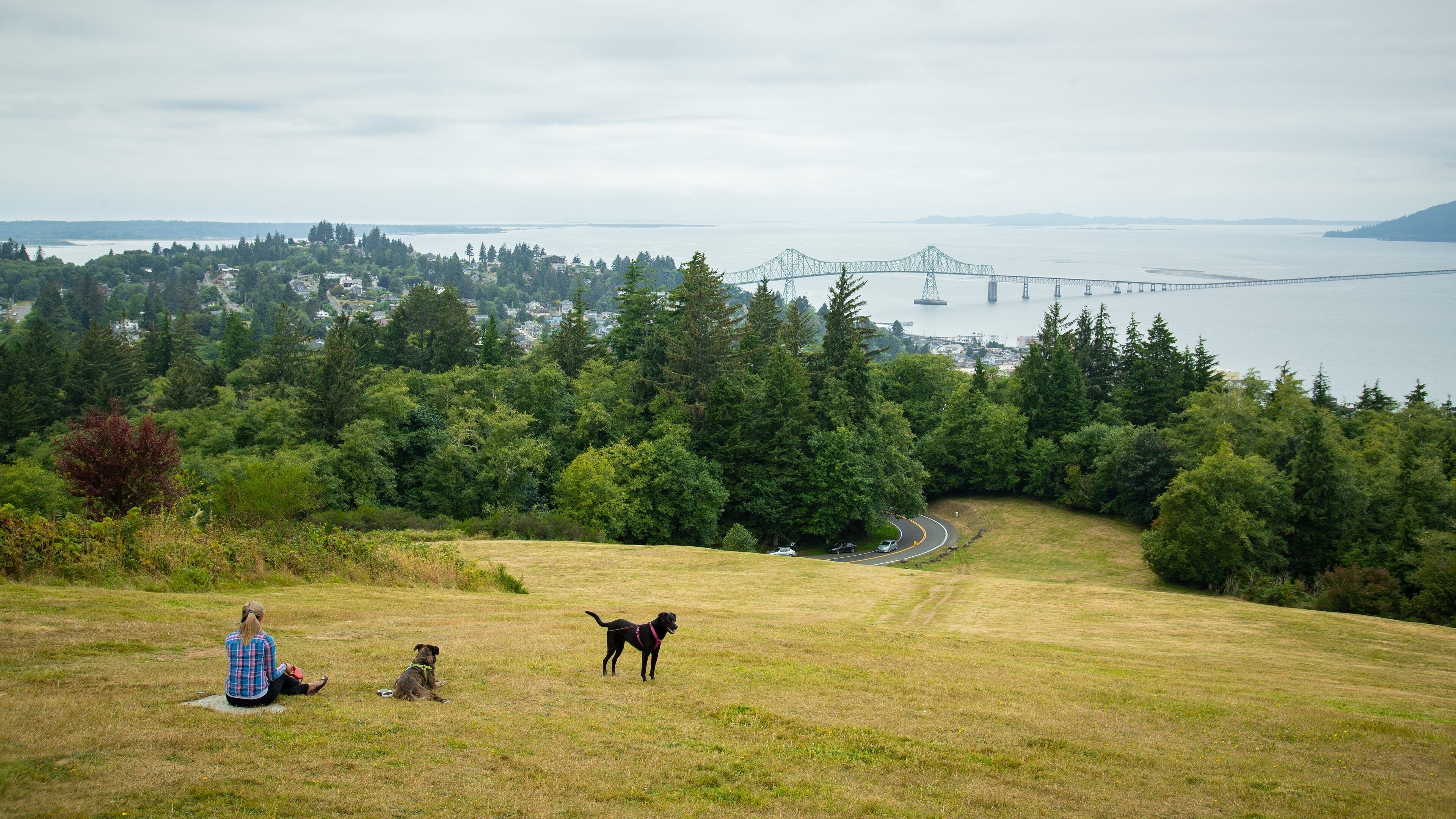 Astoria Column featuring a park, landscape views and cuddly or friendly animals