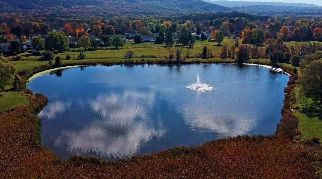 ワシントンビル