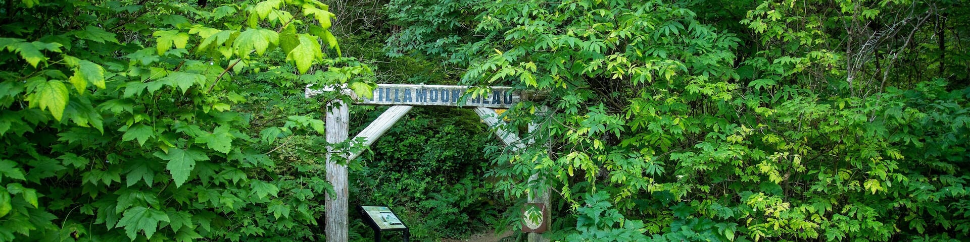 A wooden bridge over a gravel path leading through a forested area with a sign reading "ELLAMOOD MEAL."
