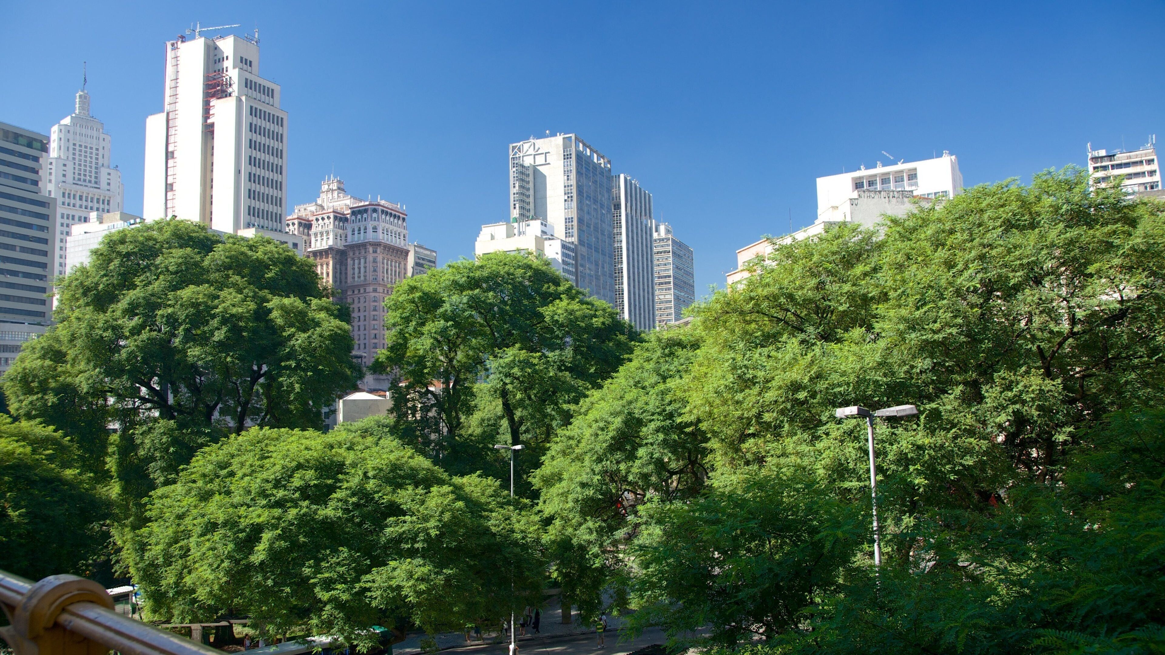 Viaduto do Cha featuring a city