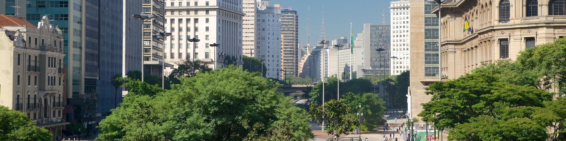 Paisagem urbana com edifícios altos, uma praça central e árvores verdes exuberantes.