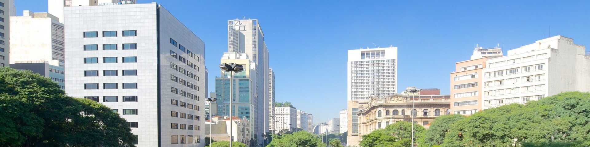 Viaduto do Cha showing a city