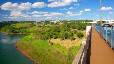 Orilla de río con vegetación, un puente y edificios al fondo.