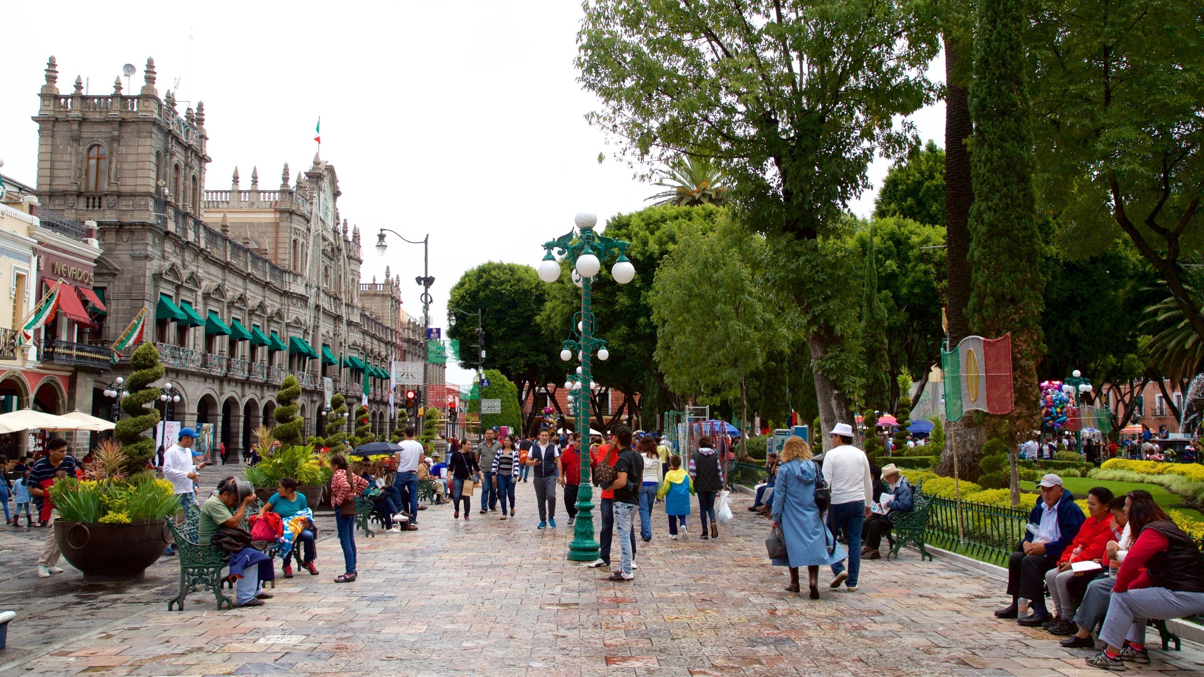 Plaza Zócalo mostrando un jardín y también un pequeño grupo de personas