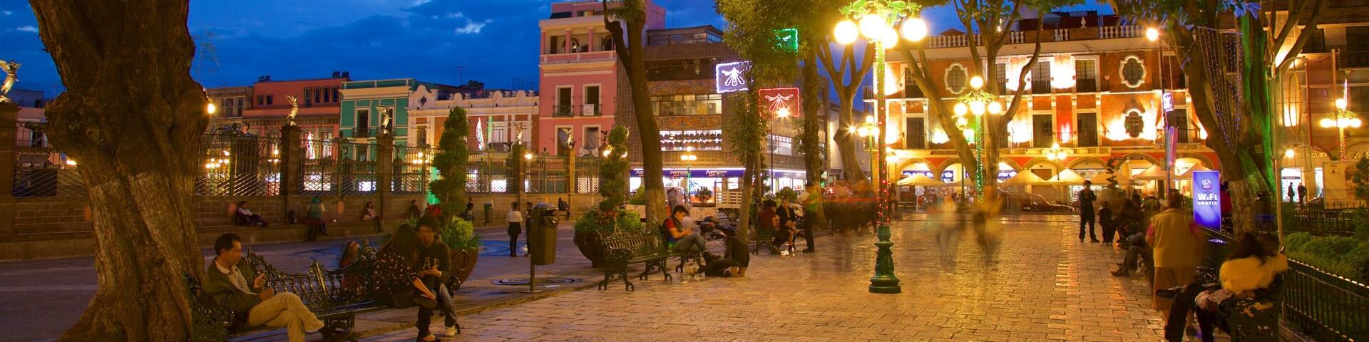 Zocalo Square showing night scenes and a garden