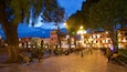 Zocalo Square showing night scenes and a garden