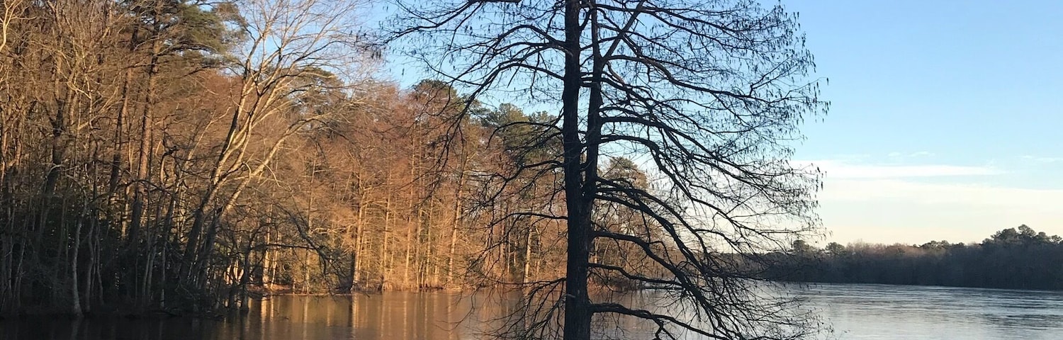 Trap Pond State Park is known as the northernmost park in North America for cypress and bald cypress trees. No matter the season, this place is always a gem. Today the pond was starting to freeze around this cypress tree creating a gorgeous mosaic pattern.