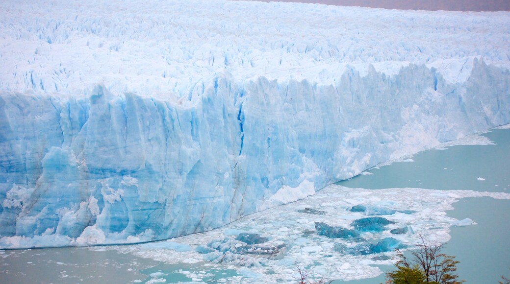 Glaciar Perito Moreno mostrando vistas generales de la costa y un lago o abrevadero