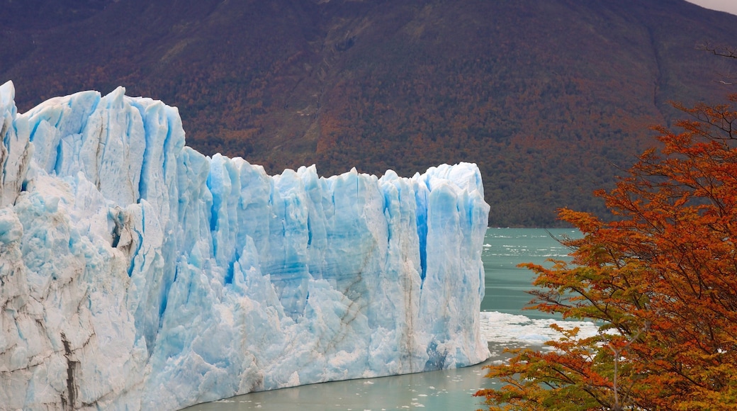 Glacier Perito Moreno montrant lac ou étang