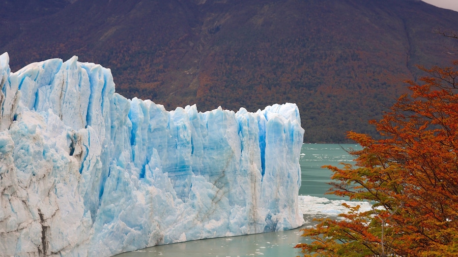 Glaciar Perito Moreno mostrando un lago o espejo de agua