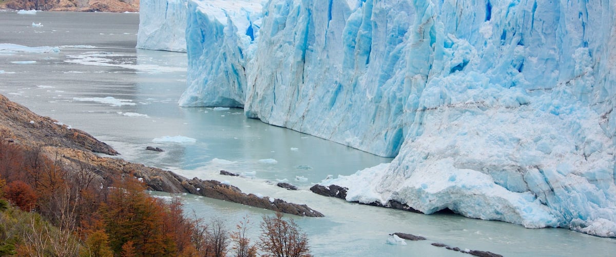 A glacier with icebergs in a river.