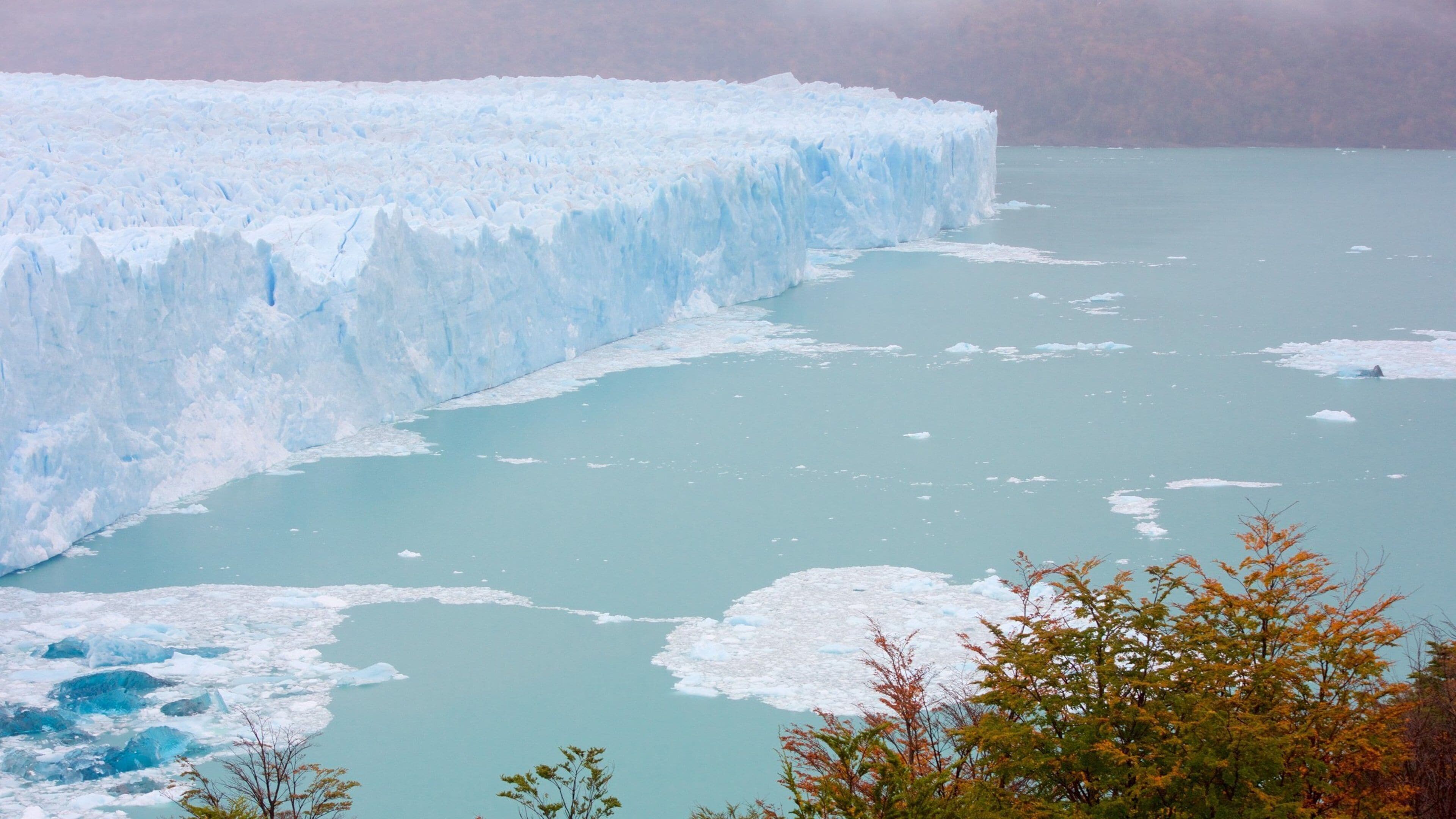 Perito Moreno Glacier which includes a lake or waterhole and general coastal views