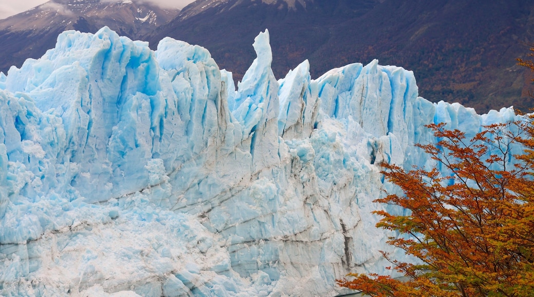 Perito Moreno Glacier