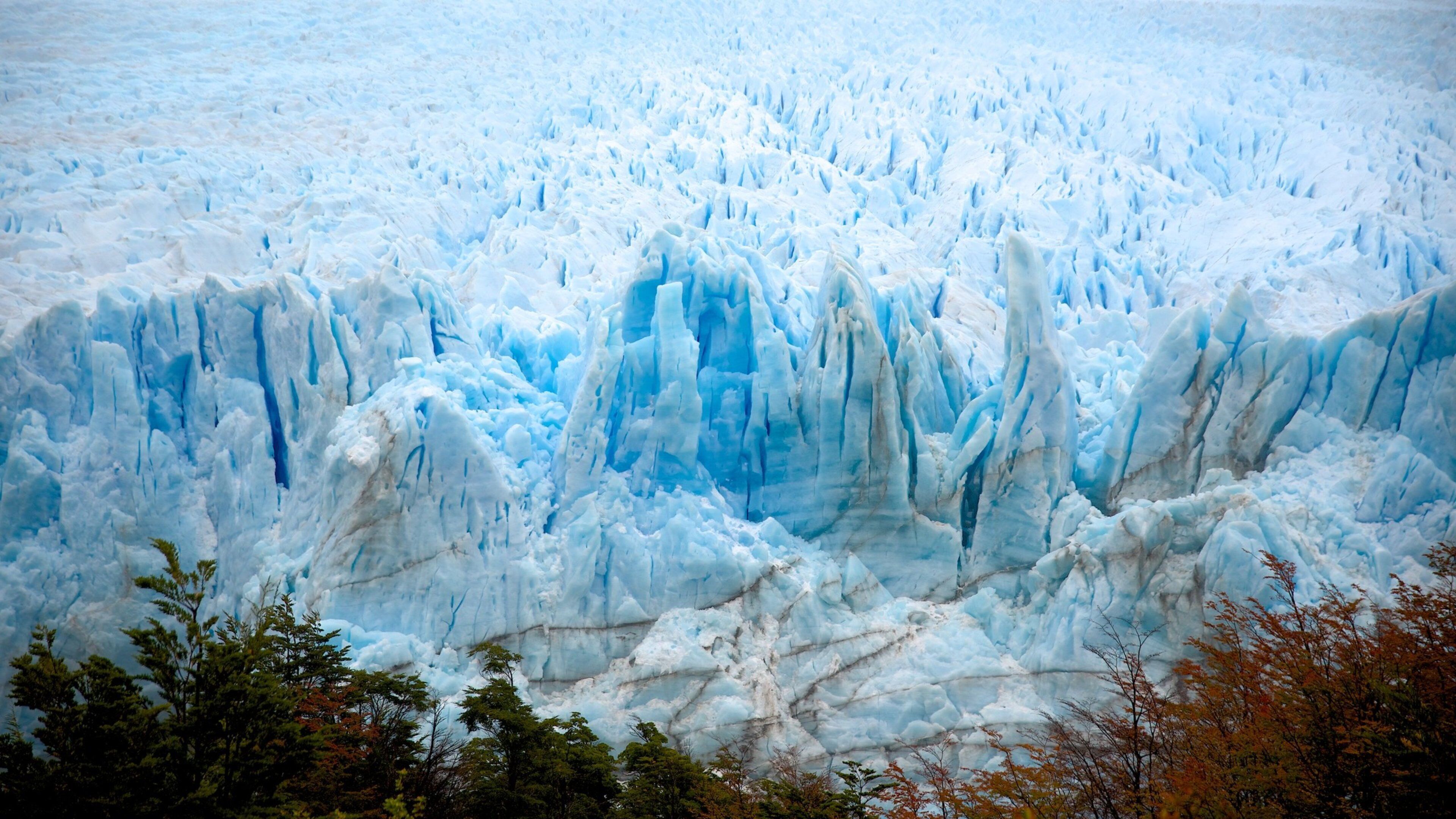 Glacier Perito Moreno qui includes vues littorales et lac ou étang
