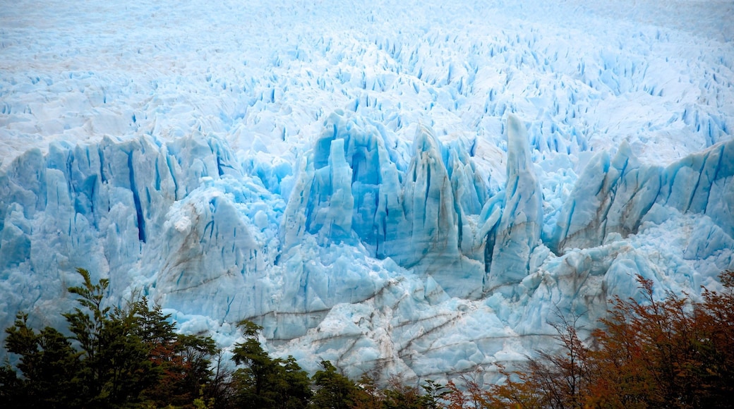 Glacier Perito Moreno qui includes vues littorales et lac ou étang