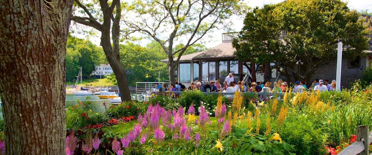 Perkins Cove showing outdoor eating, a garden and wild flowers