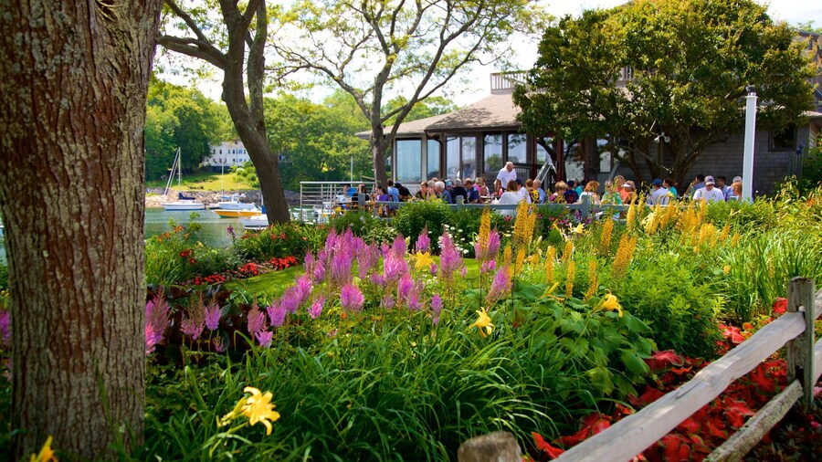 Perkins Cove showing outdoor eating, a garden and wild flowers