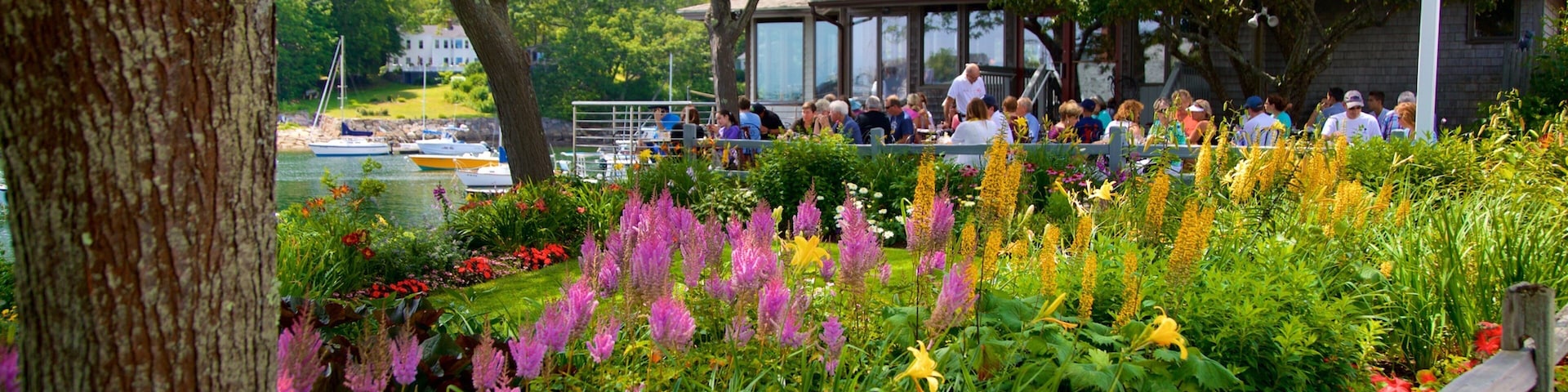 Perkins Cove featuring outdoor eating, wildflowers and a park