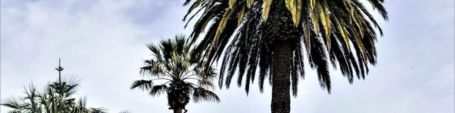 The campus grounds are worth the time to stop and explore!