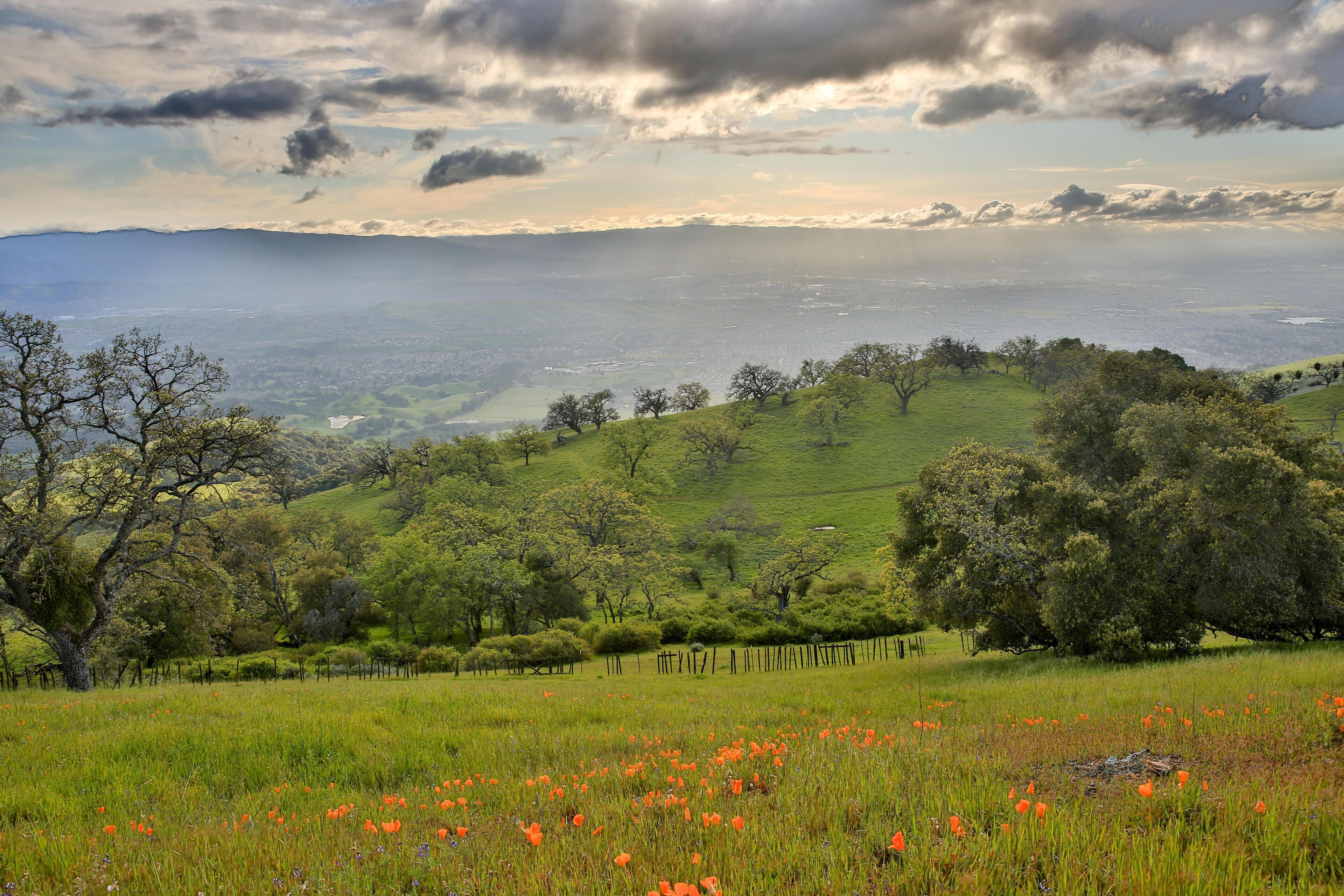 FRCW2C Santa Clara Valley from Joseph D. Grant Country Park, Northern California