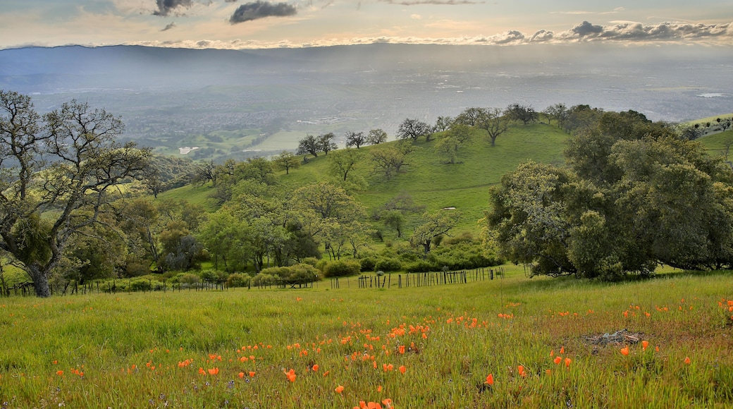 FRCW2C Santa Clara Valley from Joseph D. Grant Country Park, Northern California