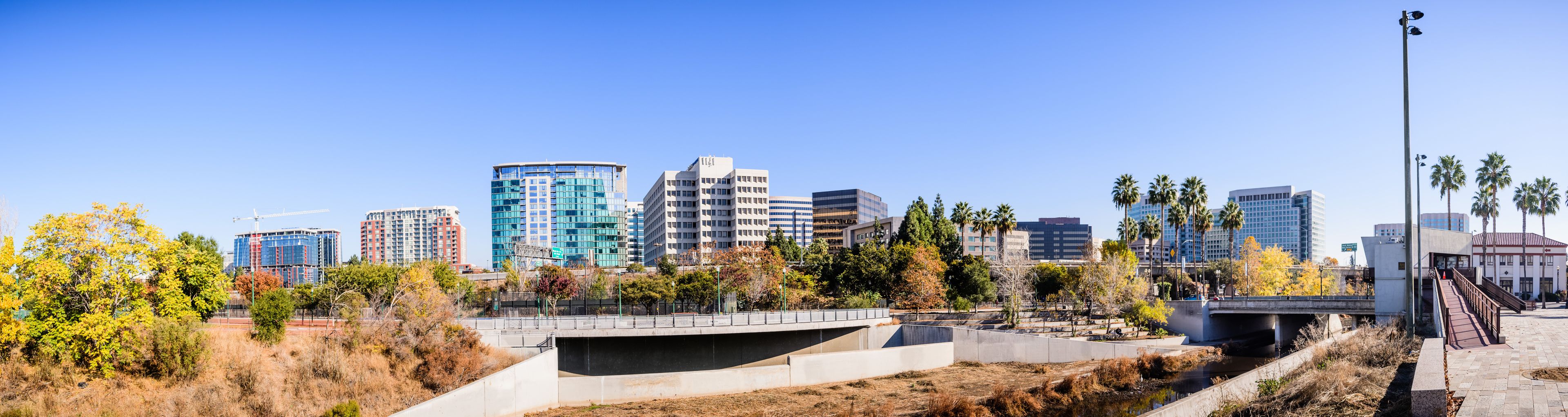 A cityscape with modern buildings, a bridge, and palm trees.