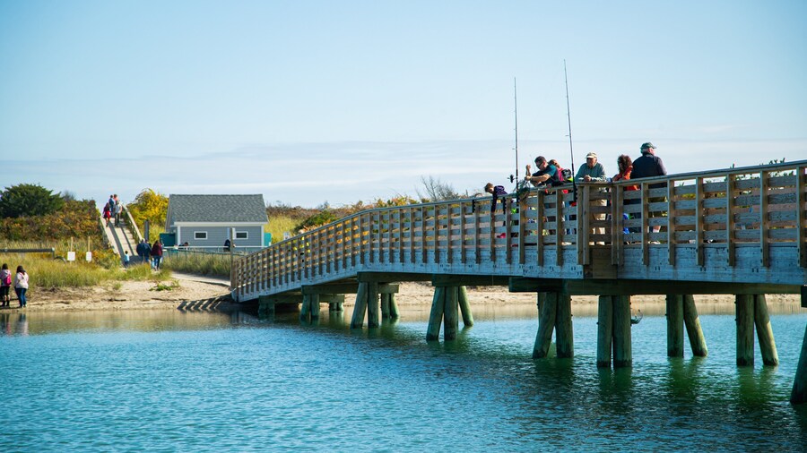 Footbridge Beach