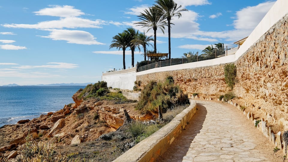 A coastal pathway with palm trees, a stone wall, and the ocean in the background.
