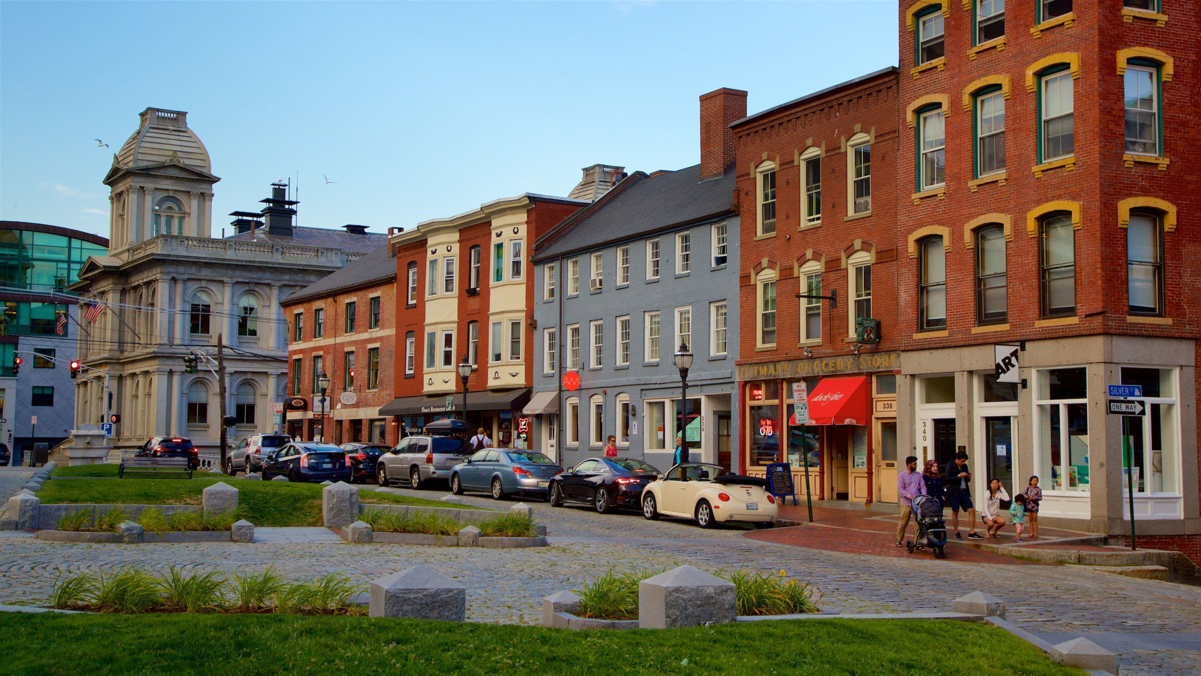 Old Port showing a garden