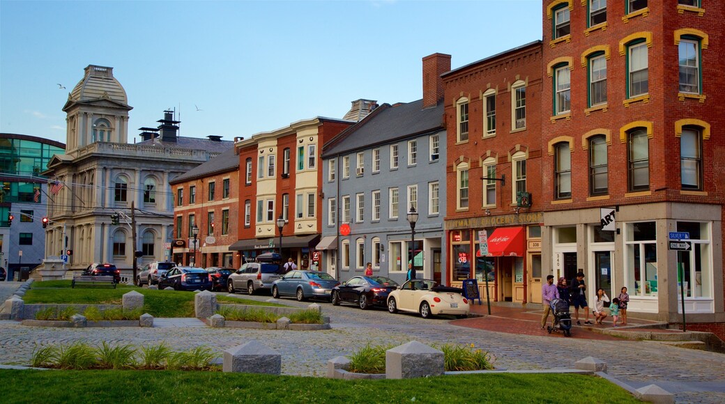 Old Port showing a garden