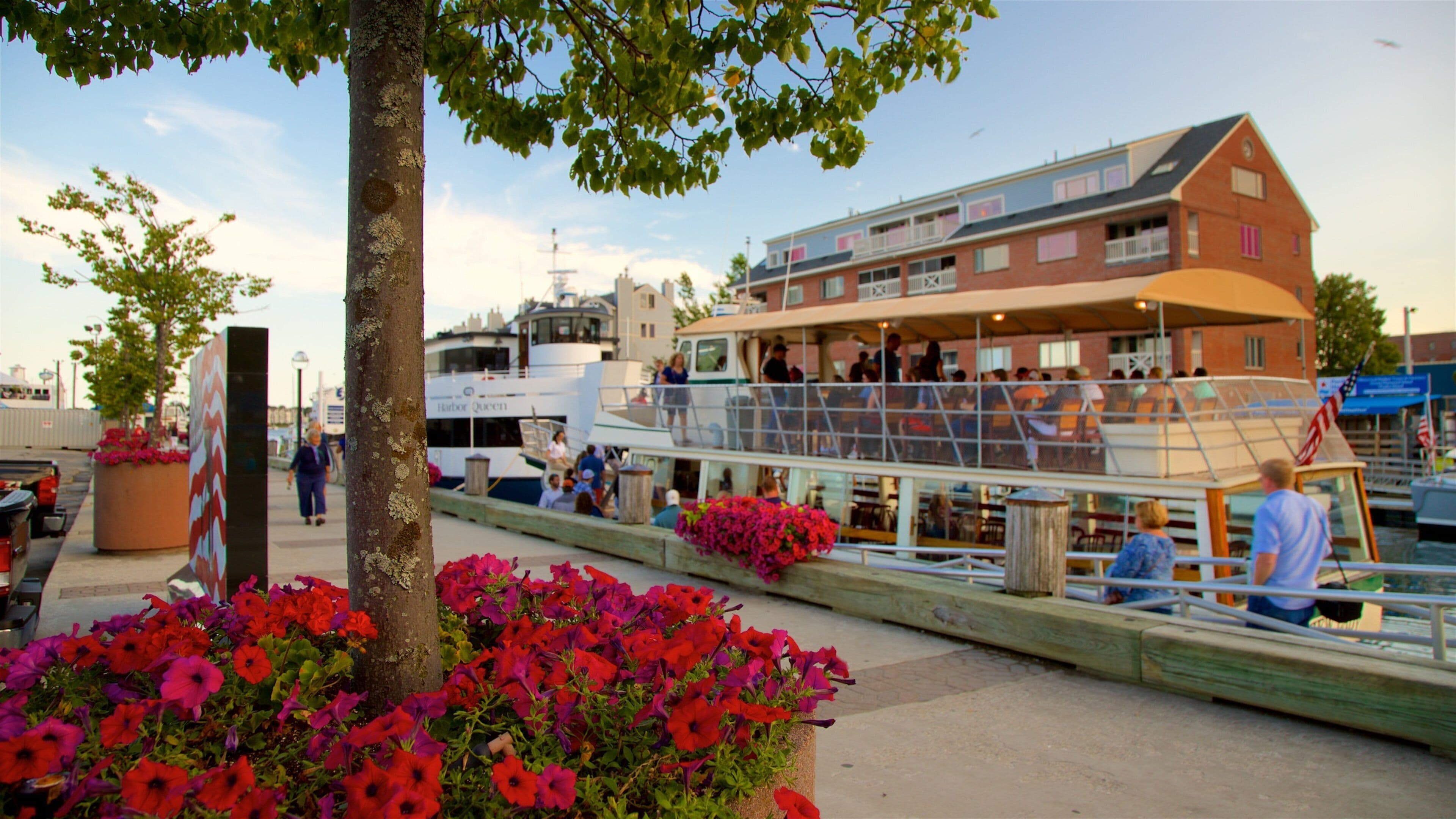Old Port som viser blomster og bukt eller havn