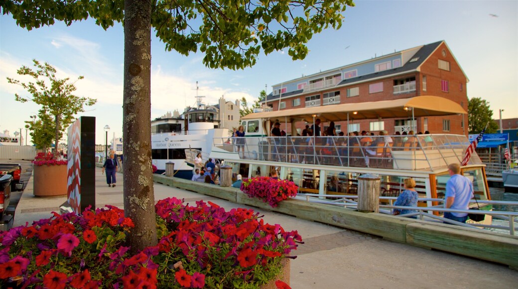 Old Port som viser blomster og bukt eller havn