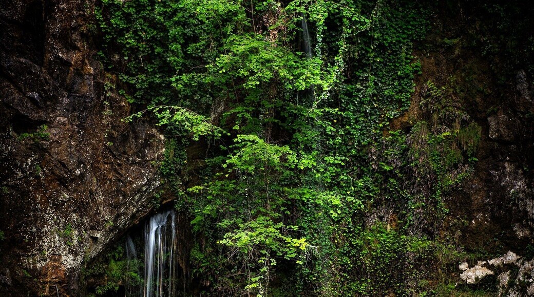 Gentle waterfalls under the sanctuary at Covadonga, Asturias, Spain #troveontuesday