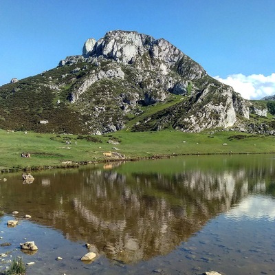 Lagos Covadonga