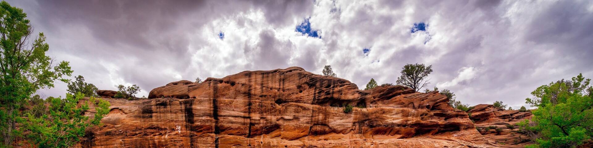 Just north of Moqui Cave is a small pond. This photo was taken literally 10 feet off of highway 89.