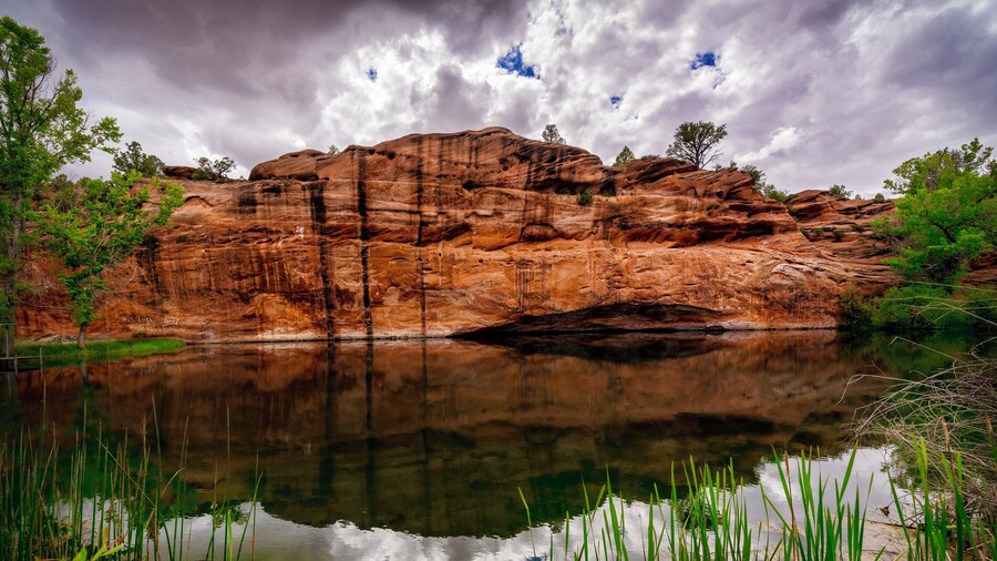 Just north of Moqui Cave is a small pond. This photo was taken literally 10 feet off of highway 89.