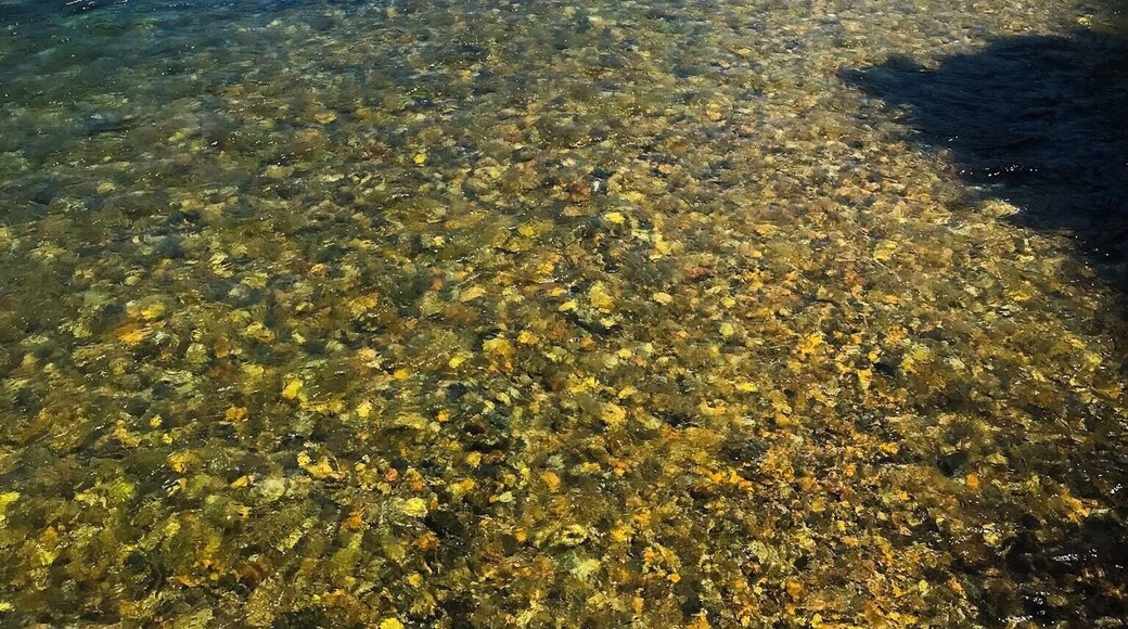 We stopped to shop on our way to grandmothers house and crossing a bridge I took this picture of the beautiful water! It was one of the best adventures that year #adventure