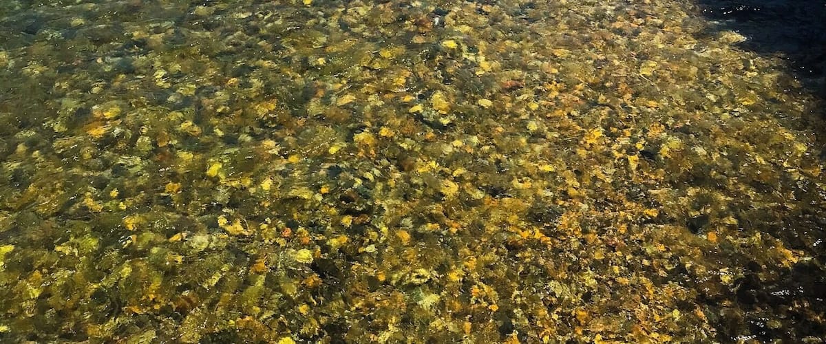 We stopped to shop on our way to grandmothers house and crossing a bridge I took this picture of the beautiful water! It was one of the best adventures that year #adventure