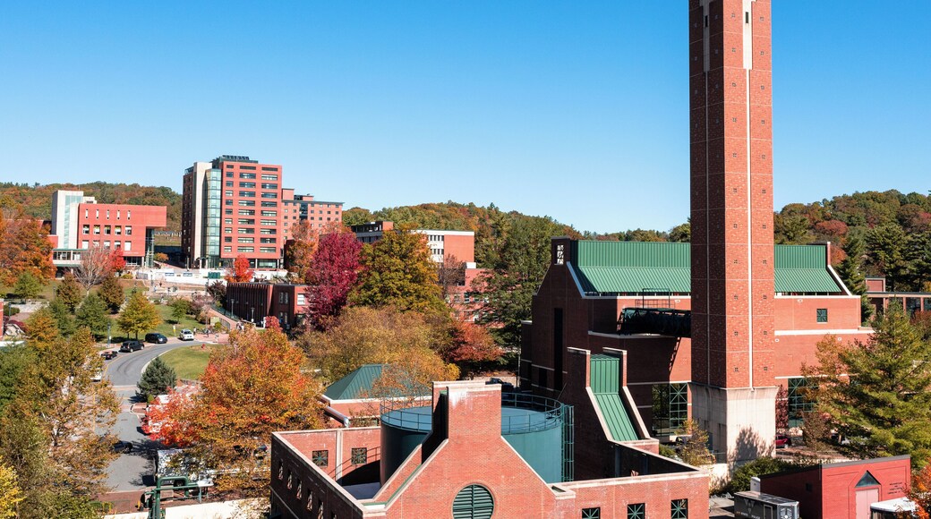 Universidade do Estado de Appalachian