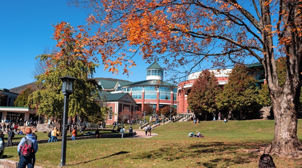 Universidade do Estado de Appalachian