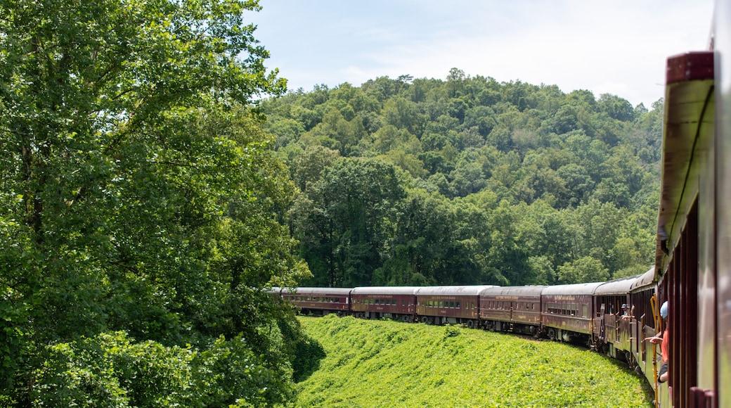 A horizontal, landscape orientation of a train making a big turn through the mountains and rural countryside of North Carolina.