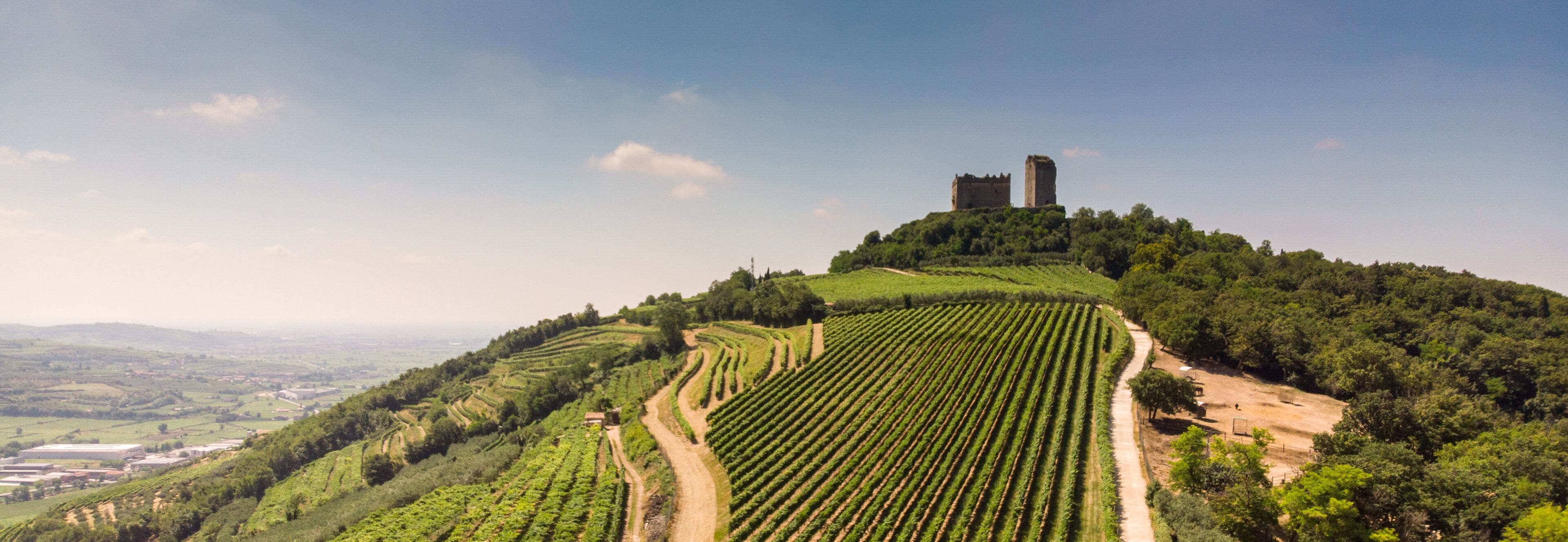 Luftaufnahme der Weinberge um Illasi in der Provinz Verona, Venetien, Italien